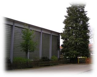 Verein-Belegungsplaene-Turnhalle Dreierwalde