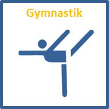 Breitensport Icon Gymnastik
